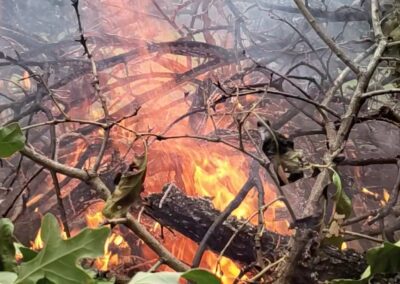 Wildfire Preparedness