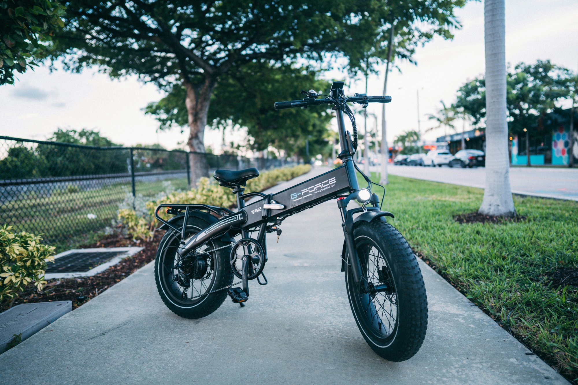 transportation--Electric Bike Example
