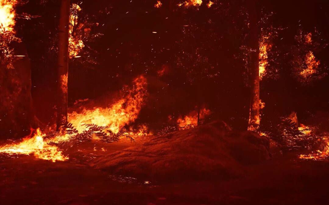 SALT LAKE WILDLAND FIRE CODE COMMENT PERIOD