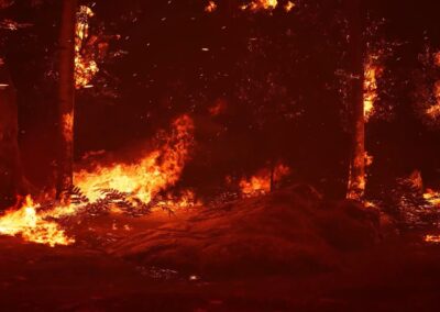 SALT LAKE WILDLAND FIRE CODE COMMENT PERIOD
