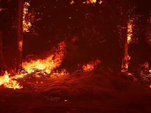 SALT LAKE WILDLAND FIRE CODE COMMENT PERIOD