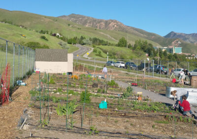 Community Gardens