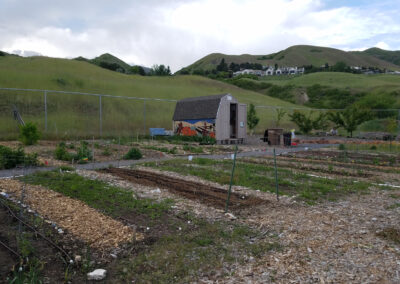 community garden