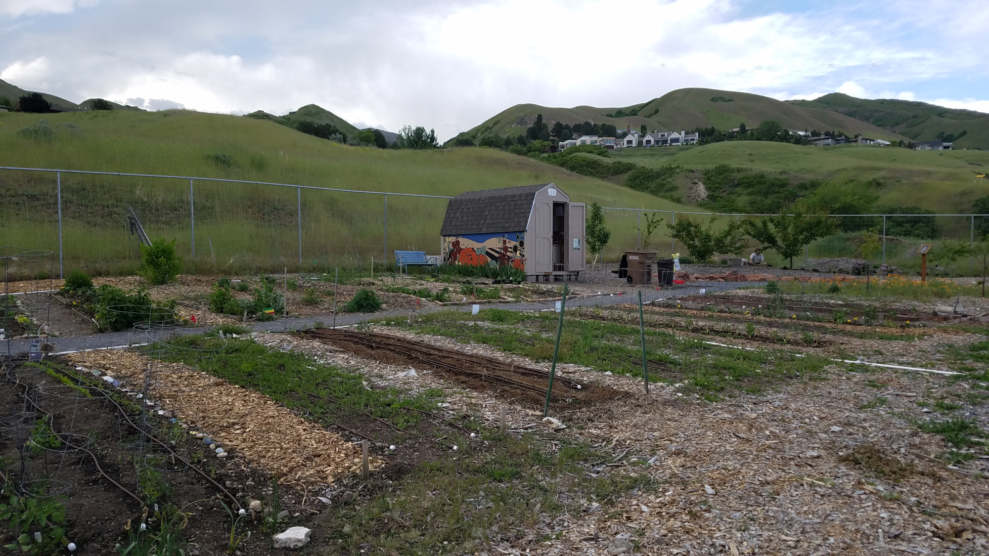 community garden