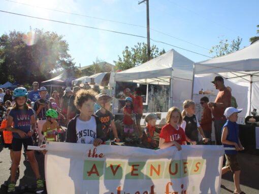 Volunteer for the Street Fair – 2025